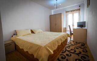Отель Hotel Foisor Бухарест Двухместный номер с 1 кроватью-15